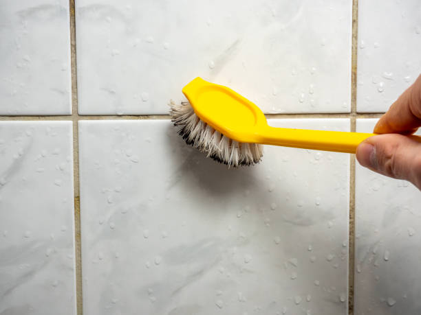 Best Best Mold Removal Companies  in Montalvin Manor, CA