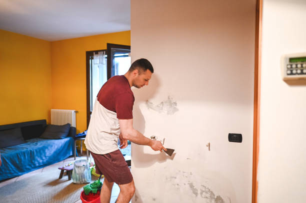 Mold Removal Process in Montalvin Manor, CA