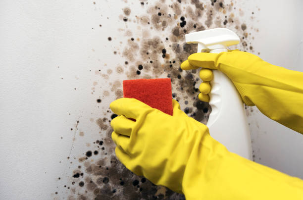 Water Damage Restoration in Montalvin Manor, CA